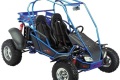 Buggy-Carter-250-GTR-Interceptor