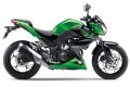 Kawasaki-Z-300